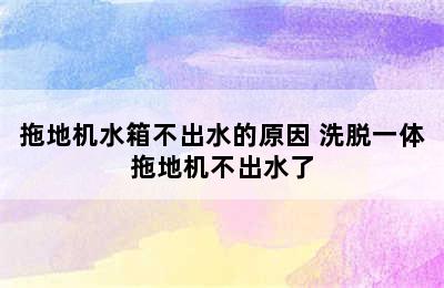 拖地机水箱不出水的原因 洗脱一体拖地机不出水了